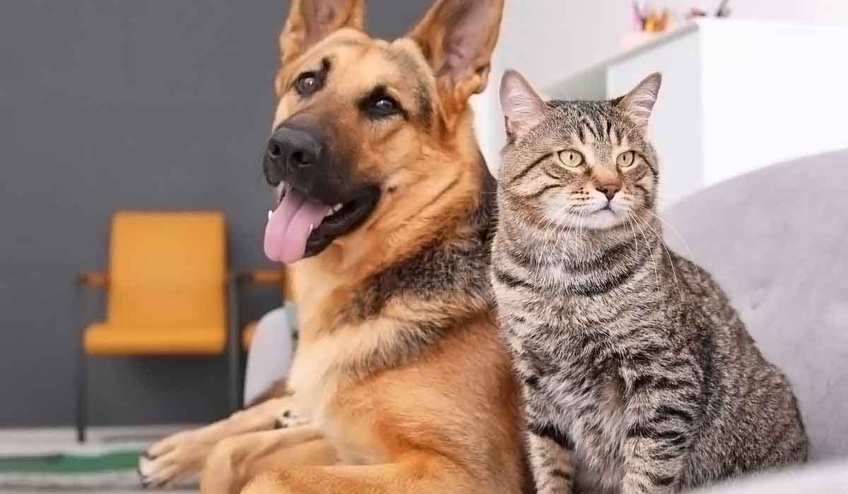 手机号码轰炸app免费